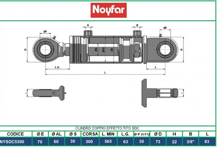 NYSDC5300