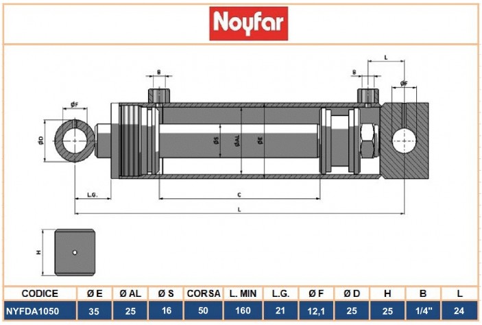 NYFDA1050