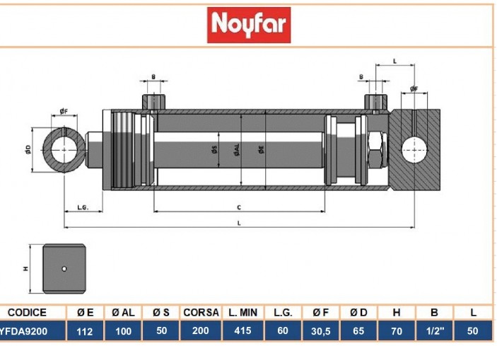 NYFDA9200